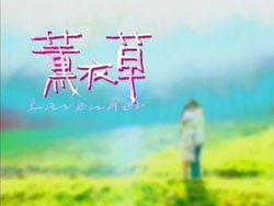 Taiwan drama dvd: Lavender, english subtitles