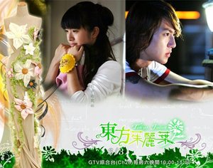 Taiwan drama dvd: Tokyo Juliet, english subtitles