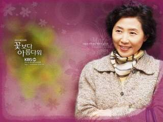 Korean drama dvd: More beautiful than a flower, english subtitles