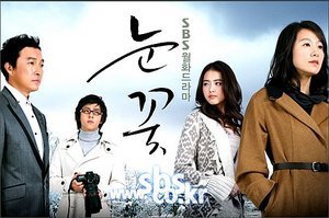 Korean drama dvd: Snow flower, english subtitles