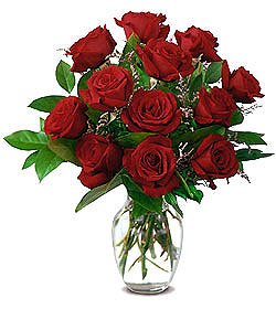 Rose 4