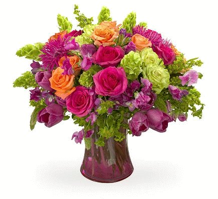 Rose 6