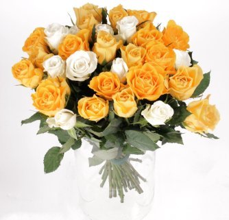 Rose 7