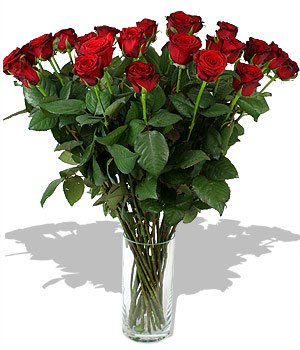 Rose 8