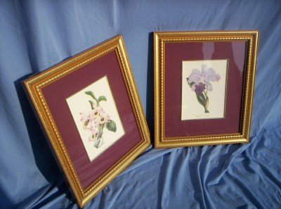 Floral Print - Burgandy Print
