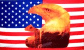 Eagle with Tear on American Flag 3' x 5' Flag
