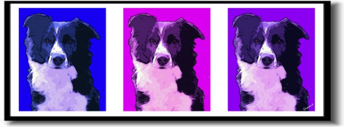 Original Pop Art Border Collie Dog Huge Panoramic Print