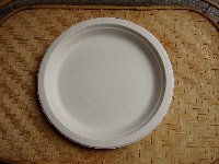 9" White Bagasse Plate