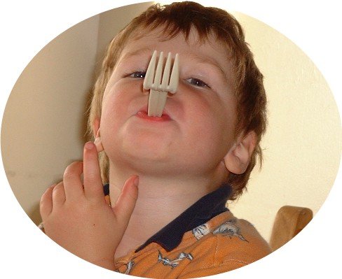 Forks 1000/case Biodegradable