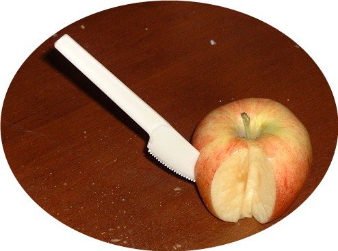 Knives 1000/case Biodegradable