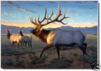 Elk Oil Painting on Canvas (22232563154)