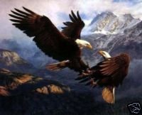 Eagles Soar Oil Painting on Canvas (22232328125)