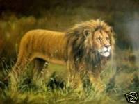 King of the Jungle Oil Painting on Canvas (22232297329)