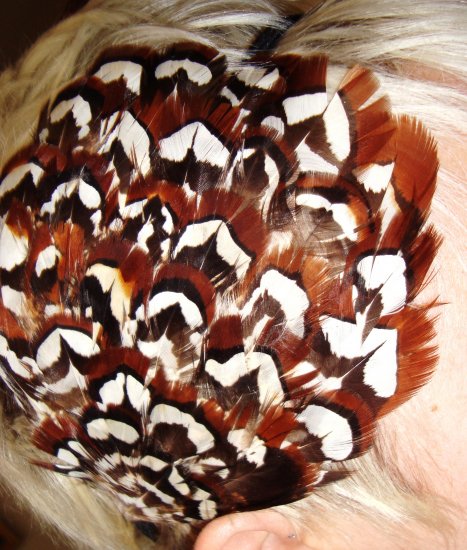pHEASANT