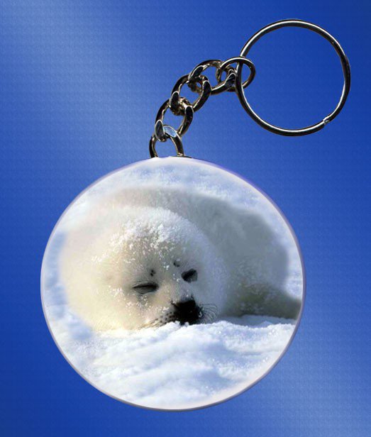 Personalized Photo Key Chain -Kids, Pets, Wedding