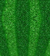 SEAT CUSHIONS - 50 UNITS
