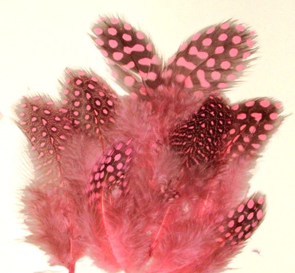 Spotted Guinea hen feathers 1/4 oz packet Body Plummage Pink