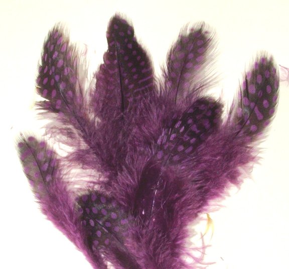 Spotted Guinea hen feathers 1/4 oz packet Body Plummage Purple