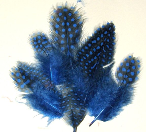 Spotted Guinea hen feathers 1/4 oz packet Body Plummage Blue
