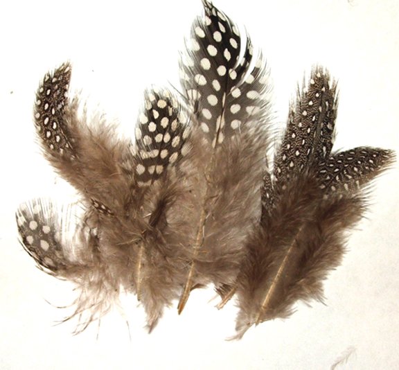 Spotted Guinea hen feathers 1/4 oz packet Body Plummage Natural