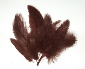 Spotted Guinea hen feathers 1/4 oz packet Body Plummage Brown