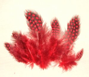 Spotted Guinea hen feathers 1/4 oz packet Body Plummage Red
