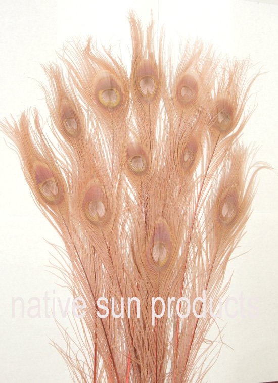 100 Peacock Eye Feathers Dyed DUSTY ROSE 30-35" L Bleached & dyed