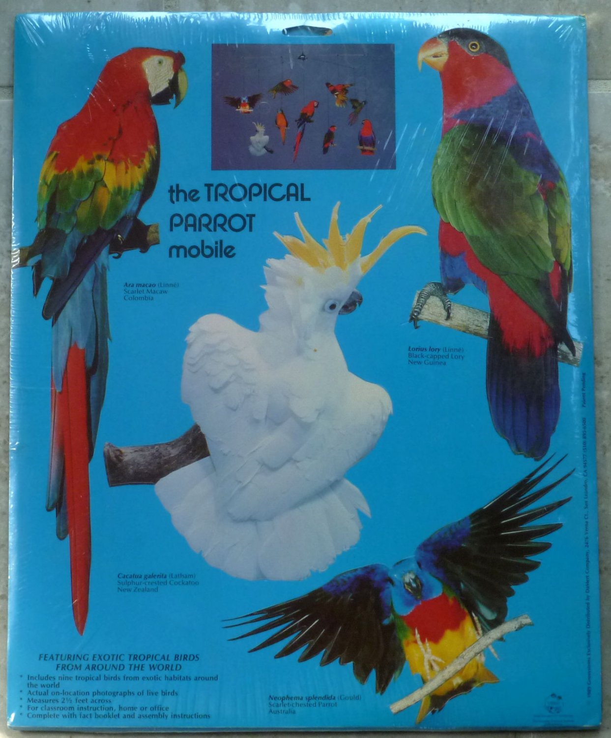 Parrot Mobile Cardboard Kit Nine Colorful Species 1989 Science Academy NIP