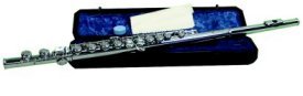 Key of C flute with case