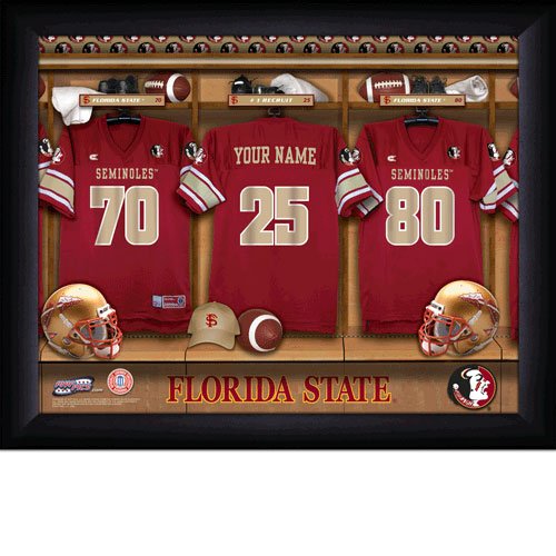 Florida St. Seminoles Custom Jersey Print With Your Name