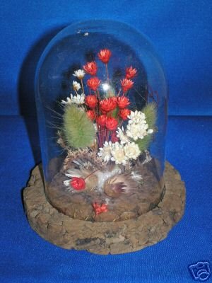 DRIED FLOWER ARRANGEMENT ON CORK UNDER PLASTIC