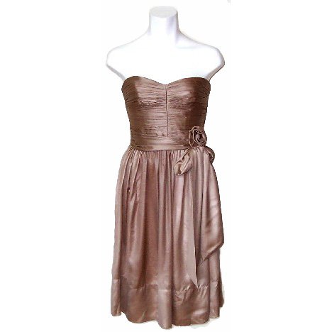 BCBG MazAzria Latte Chiffon Dress