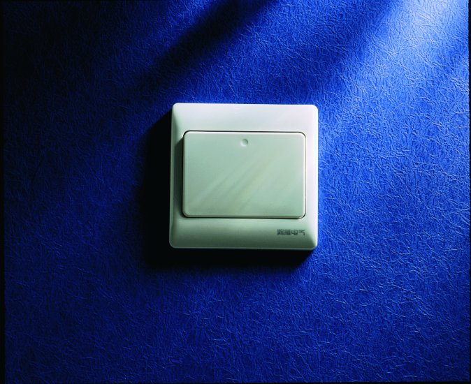 Switch plate - S-02