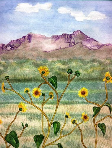 Valley Wildflowers matted print watercolor art Paula M