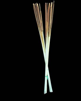 Dried Flowers-Cat-Tails - Super Mini