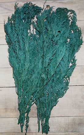 Dried Flowers-Cedar - Minn