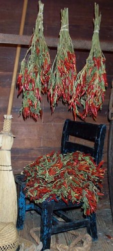 Dried Flowers-Chili Peppers