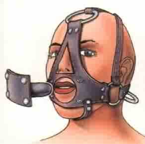 Deluxe Head Harness with Ball Gag