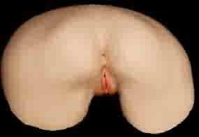 Juli Ashton Ultra Realistic Pussy And Ass