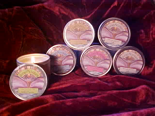 Lava Lotion Jasmine Lotion Candle