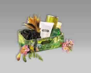 Kama Sutra Love Essentials Kit