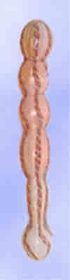 Glowgasim Liquid Filled Pyrex Glass Dildo