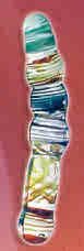 6" Fun Stubbies Glass Dildo