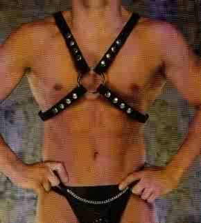 Leather and Chain Harness
