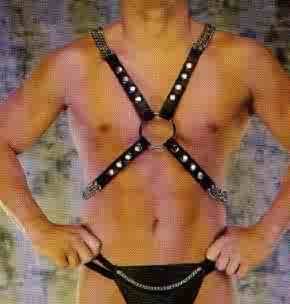 Leather Harness