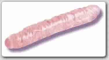Translucence Veined DBL Dong 12" Double Head Dildo