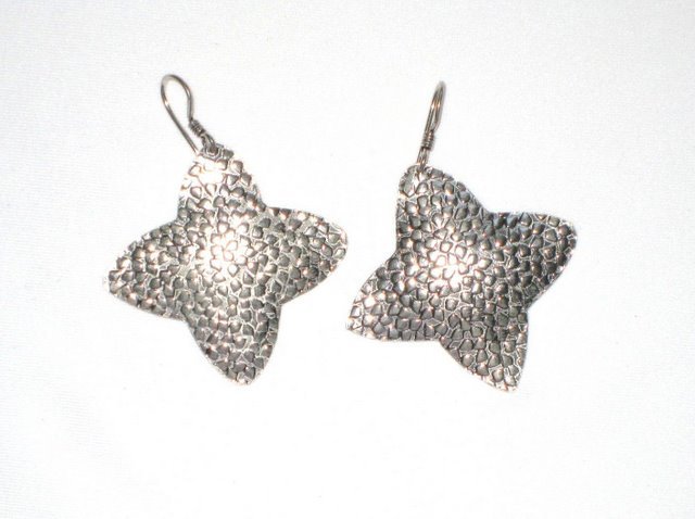 AQ050 Earrings in Sterling Silver