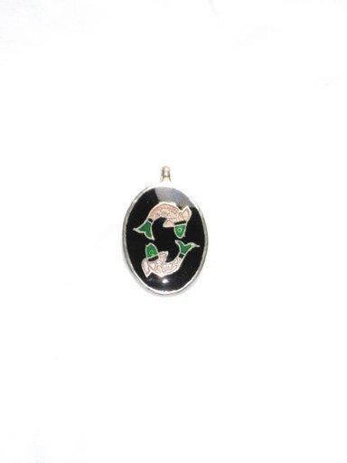 Enameled Pendant in Sterling Silver
