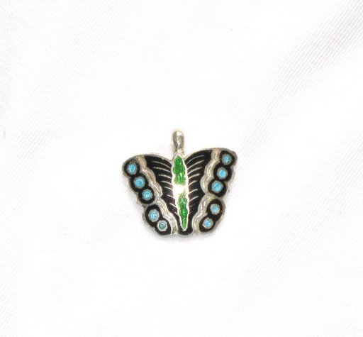 Enameled Pendant in Sterling Silver