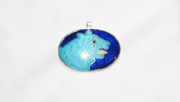 Enameled Pendant in Sterling Silver